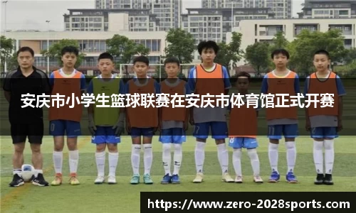 2028体育APP